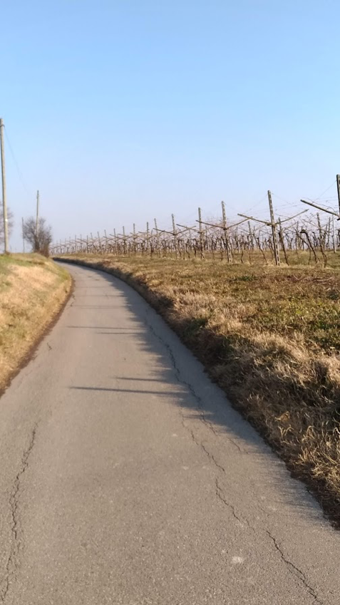 montenetto
