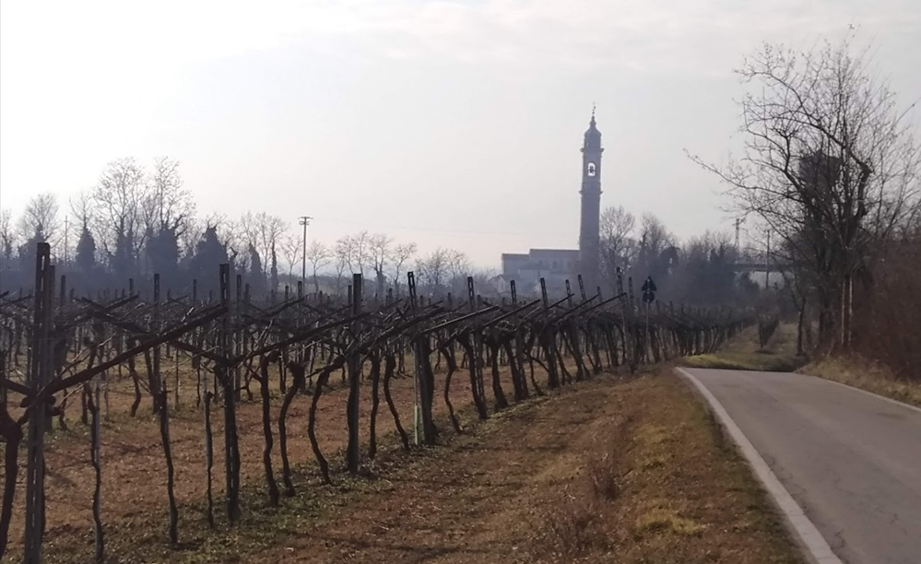 montenetto montenetto